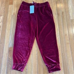 New NWT Fabletics Daria Velour Jogger Drawstring Elastic Waist Pants Red Large